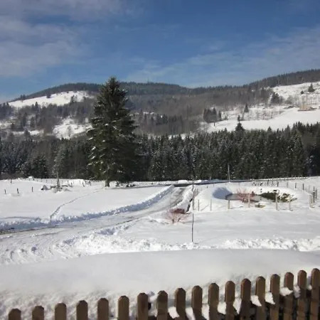 De Montagne Renove Avec Poele A Bois - - Fr-1-589-237 * Saulxures-sur-Moselotte