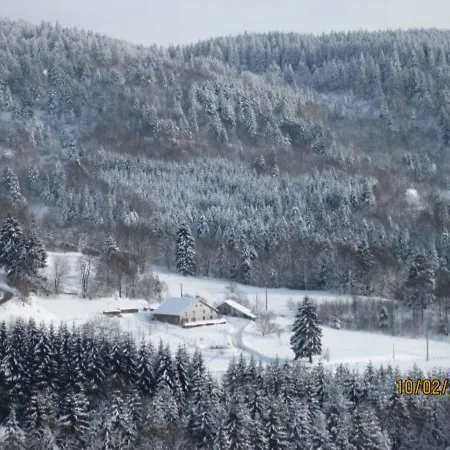 Casa vacanze Saulxures-sur-moselotte, 3 Pièces, 5 Personnes - Fr-1-589-237