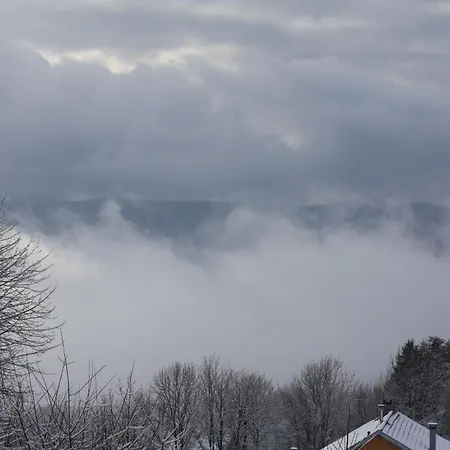 Saulxures-sur-moselotte, 3 Pièces, 5 Personnes - Fr-1-589-237 *