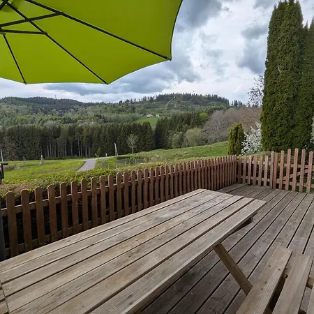 De Montagne Renove Avec Poele A Bois - - Fr-1-589-237 Saulxures-sur-Moselotte