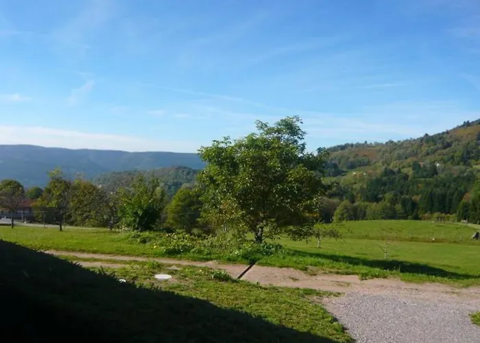 De Montagne Renove Avec Poele A Bois - - Fr-1-589-237 * Saulxures-sur-Moselotte