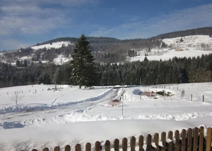 De Montagne Renove Avec Poele A Bois - - Fr-1-589-237 * Saulxures-sur-Moselotte