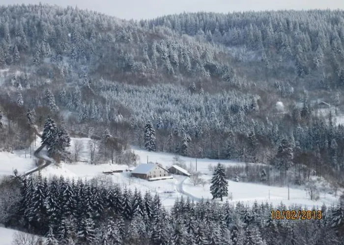 Prázdninový dům De Montagne Renove Avec Poele A Bois - - Fr-1-589-237